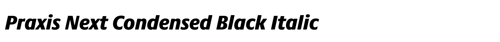 Praxis Next Condensed Black Italic image